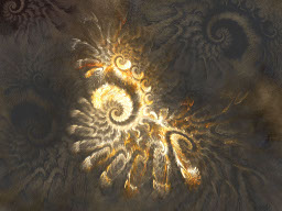 Circonvolutions