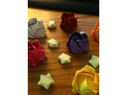 Roses